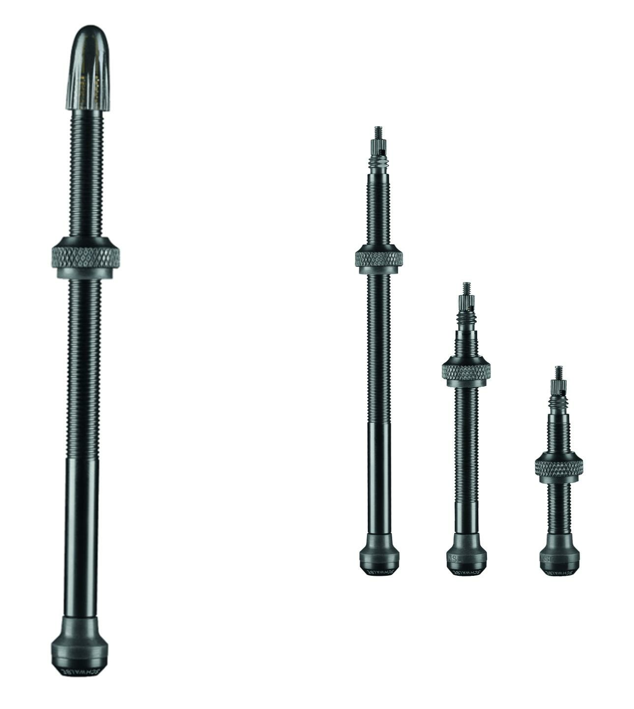 bcprisme/37010_valve_tubeless_schwalbe_100_mm,_2_pieces