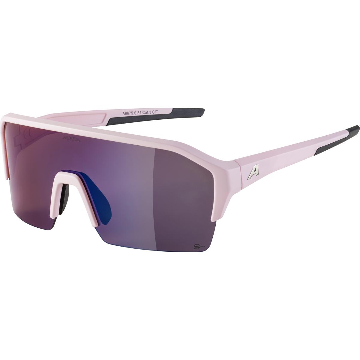 bcprisme/38568_lunettes_alpina_ram_hr_hm+