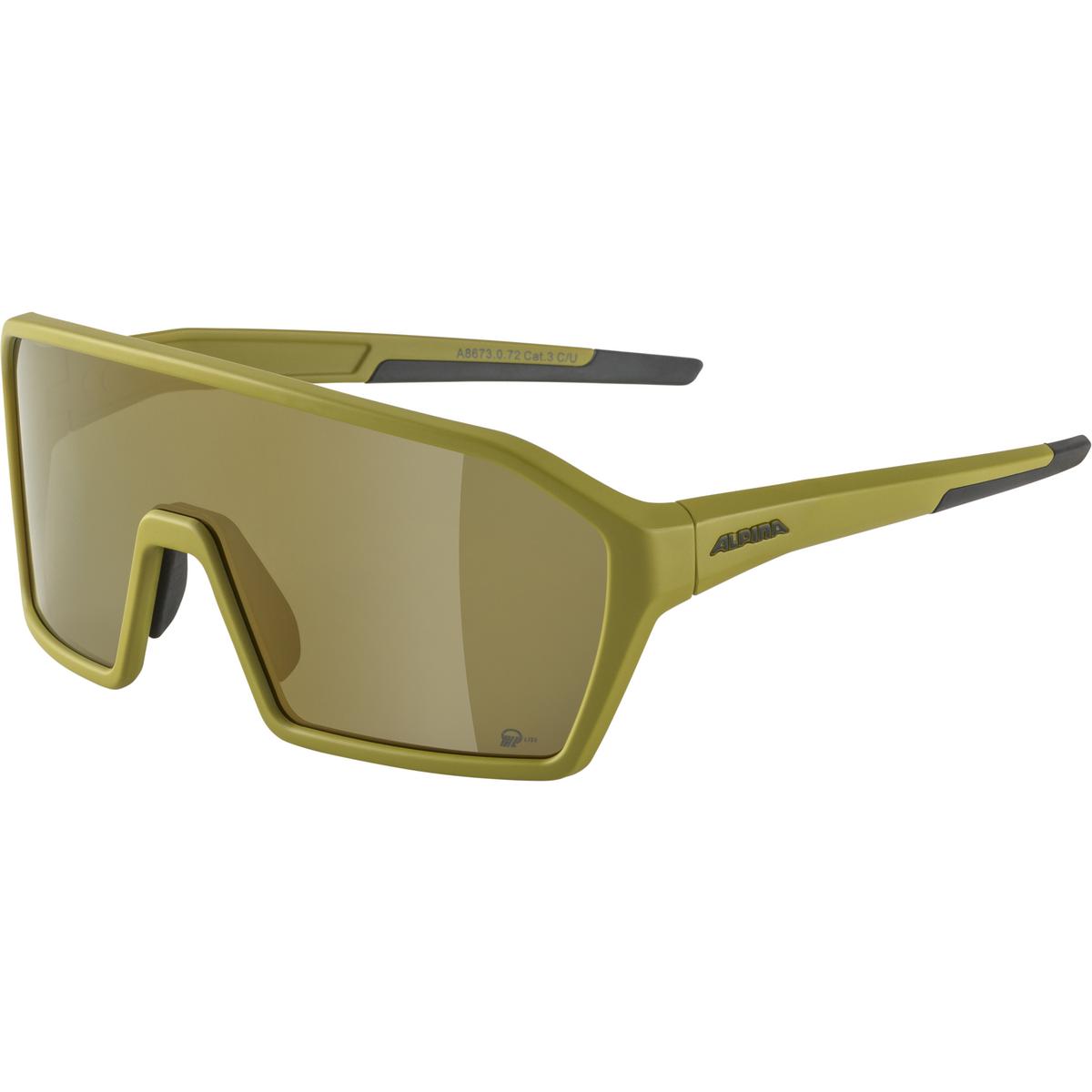 bcprisme/38571_lunettes_alpina_ram_hr_hm+